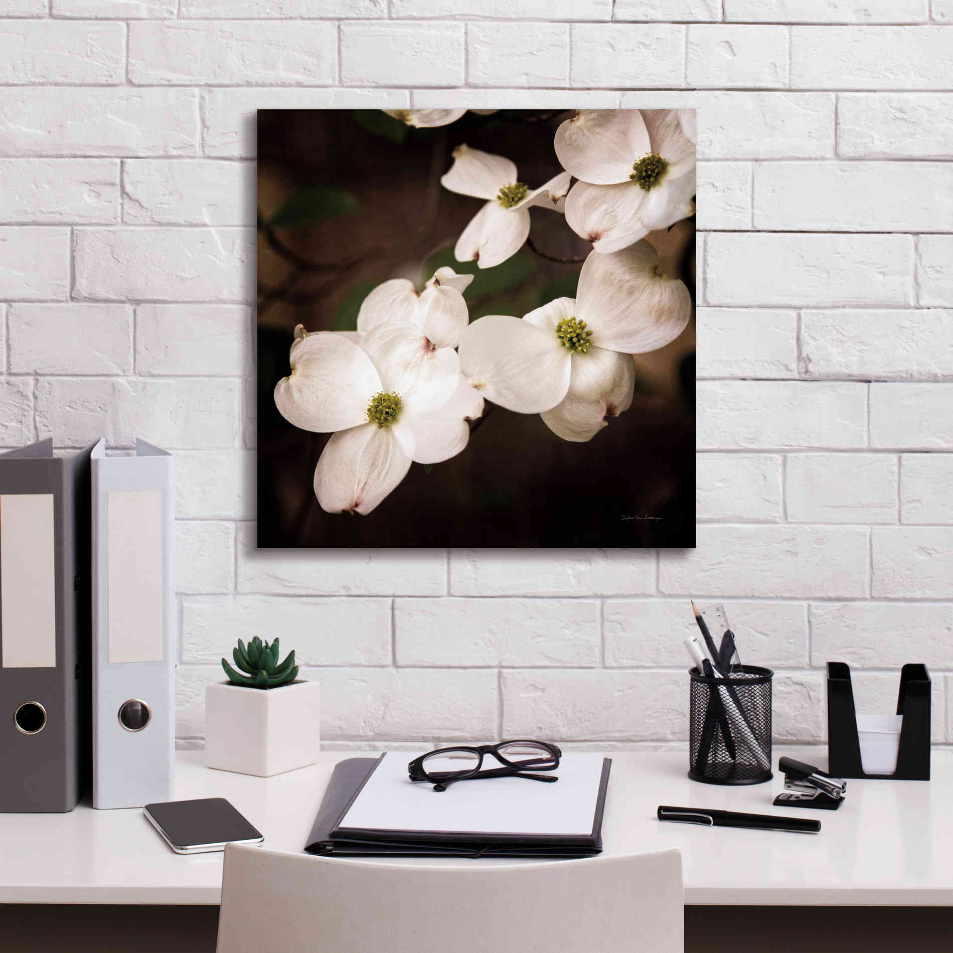 'White Dogwood III' by Debra Van Swearingen, Canvas Wall Art,18 x 18