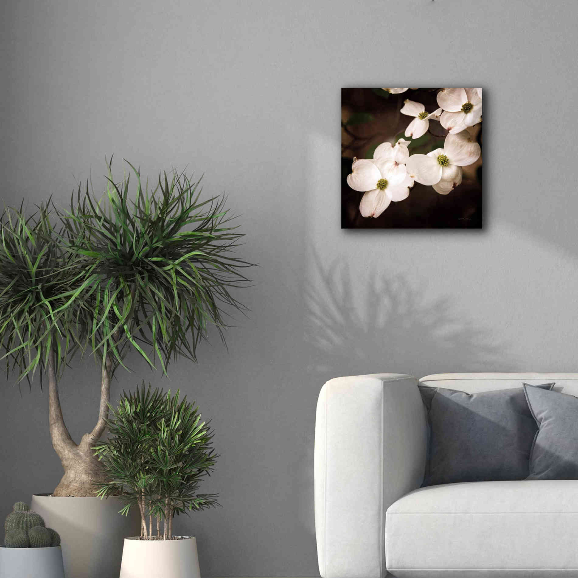'White Dogwood III' by Debra Van Swearingen, Canvas Wall Art,18 x 18