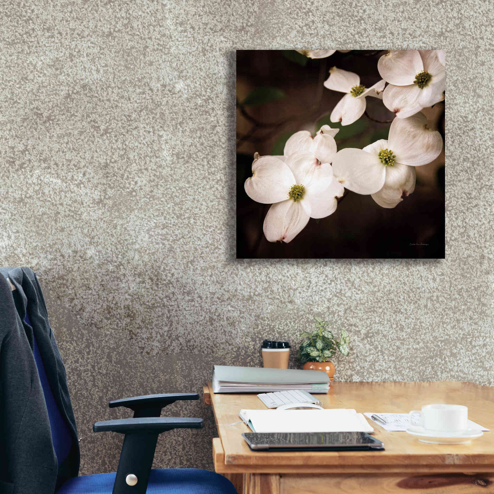 'White Dogwood III' by Debra Van Swearingen, Canvas Wall Art,26 x 26