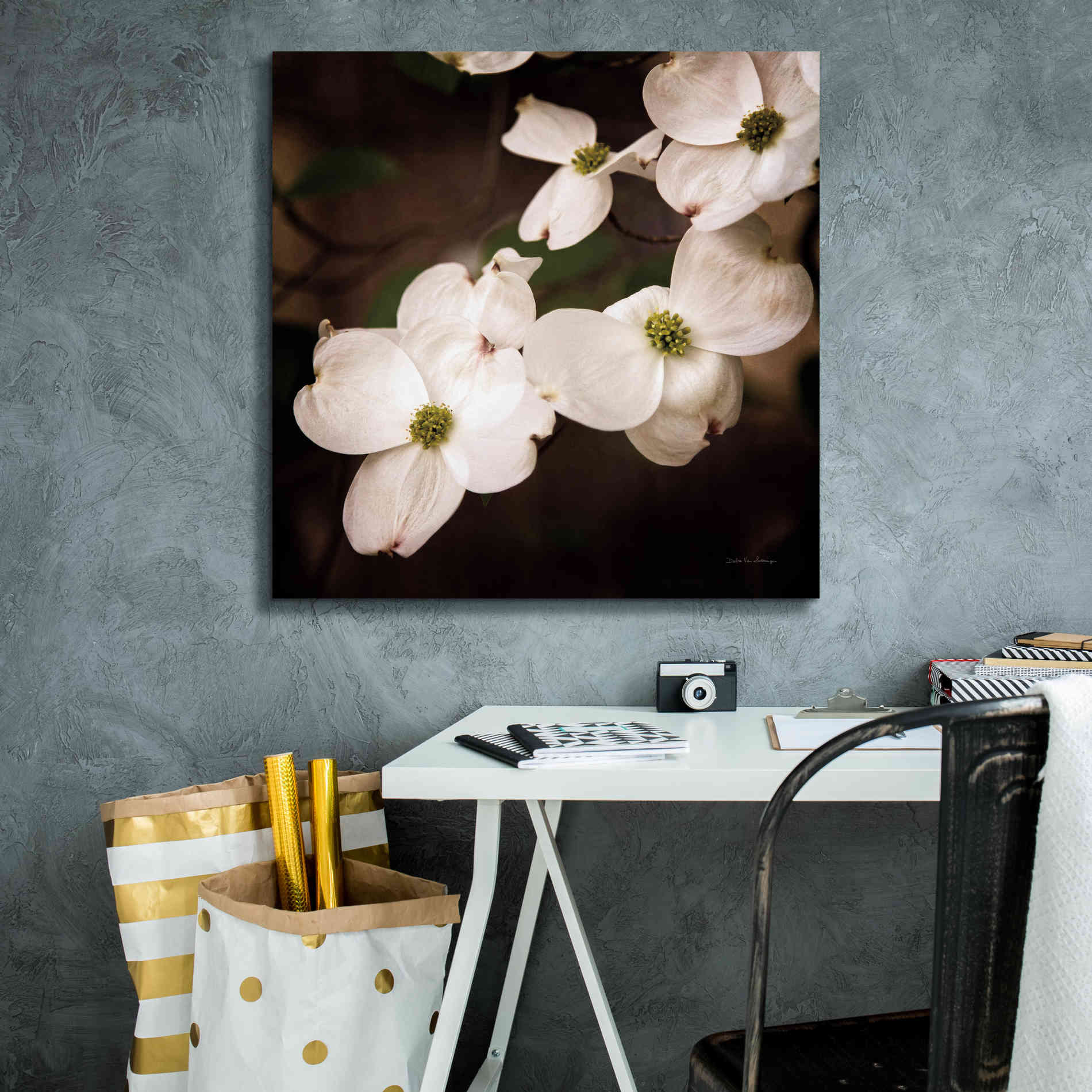 'White Dogwood III' by Debra Van Swearingen, Canvas Wall Art,26 x 26