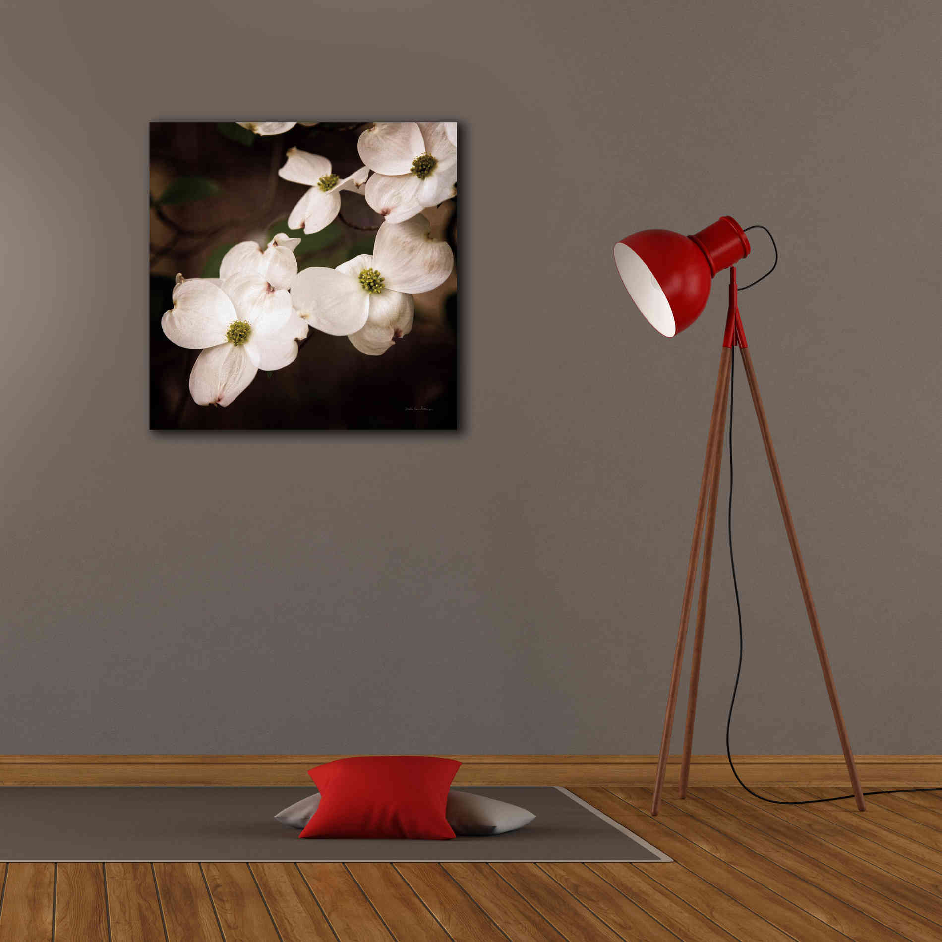 'White Dogwood III' by Debra Van Swearingen, Canvas Wall Art,26 x 26