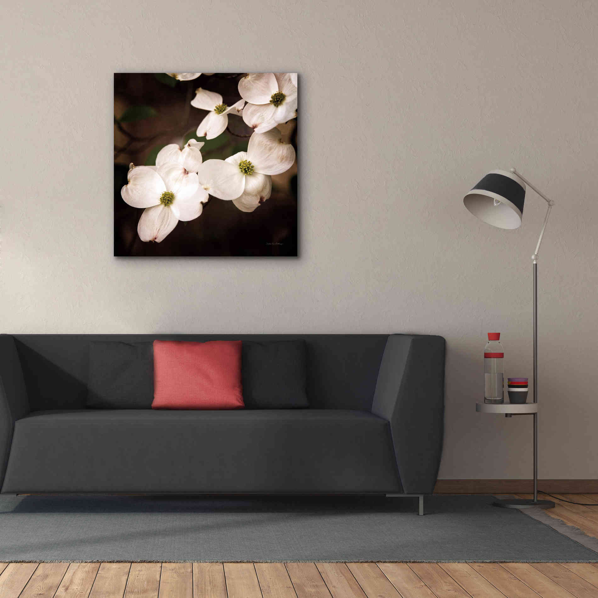 'White Dogwood III' by Debra Van Swearingen, Canvas Wall Art,37 x 37