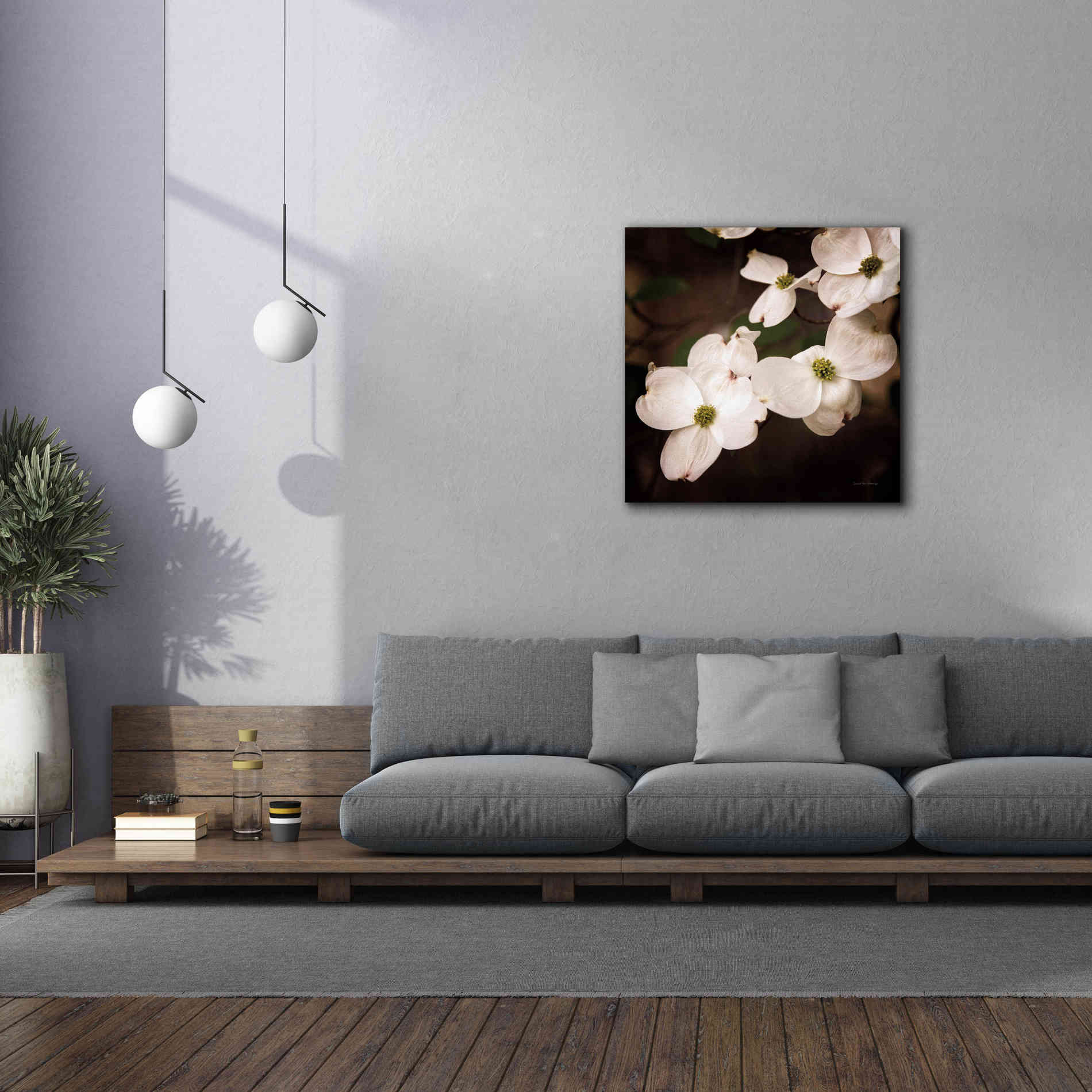 'White Dogwood III' by Debra Van Swearingen, Canvas Wall Art,37 x 37
