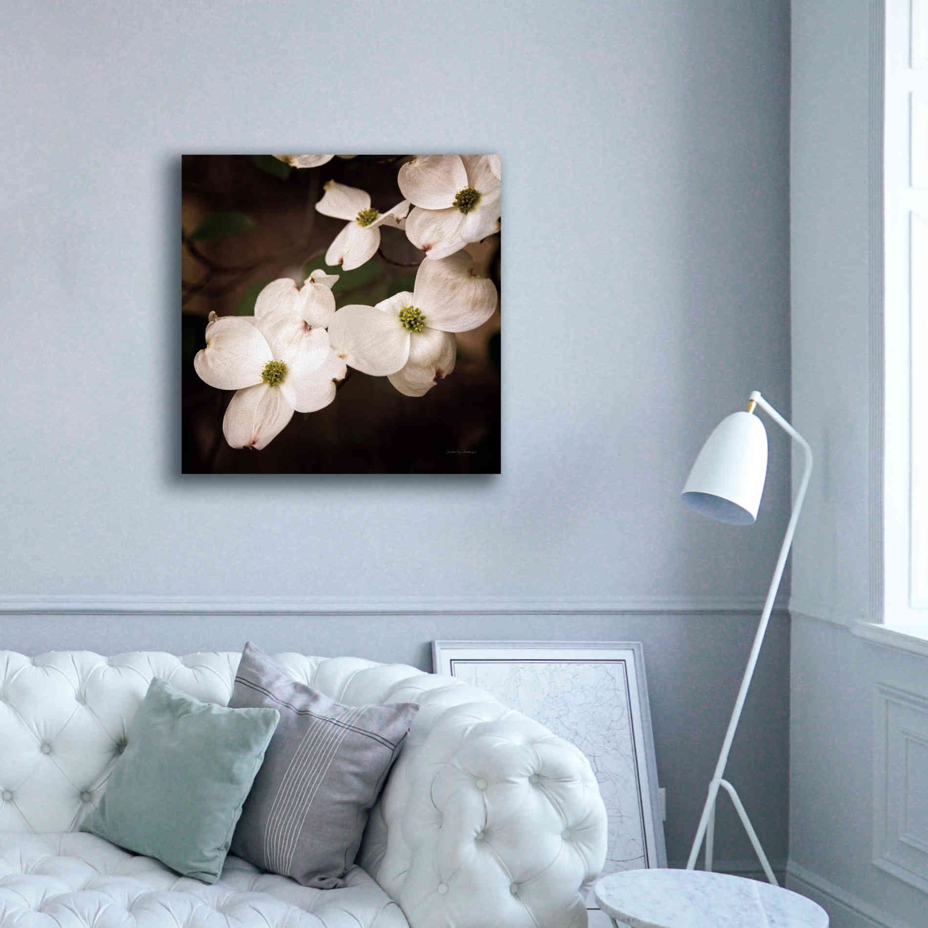 'White Dogwood III' by Debra Van Swearingen, Canvas Wall Art,37 x 37