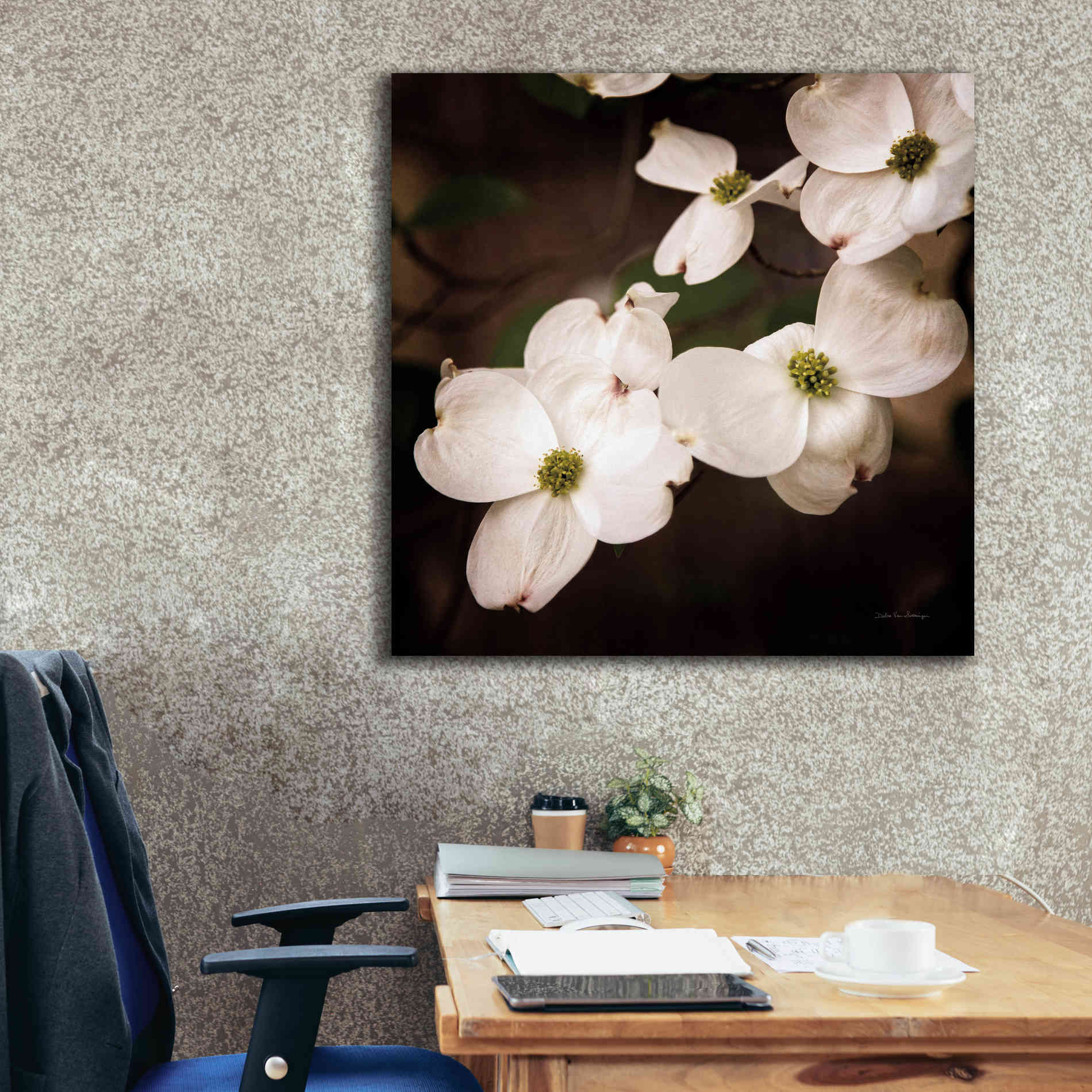 'White Dogwood III' by Debra Van Swearingen, Canvas Wall Art,37 x 37