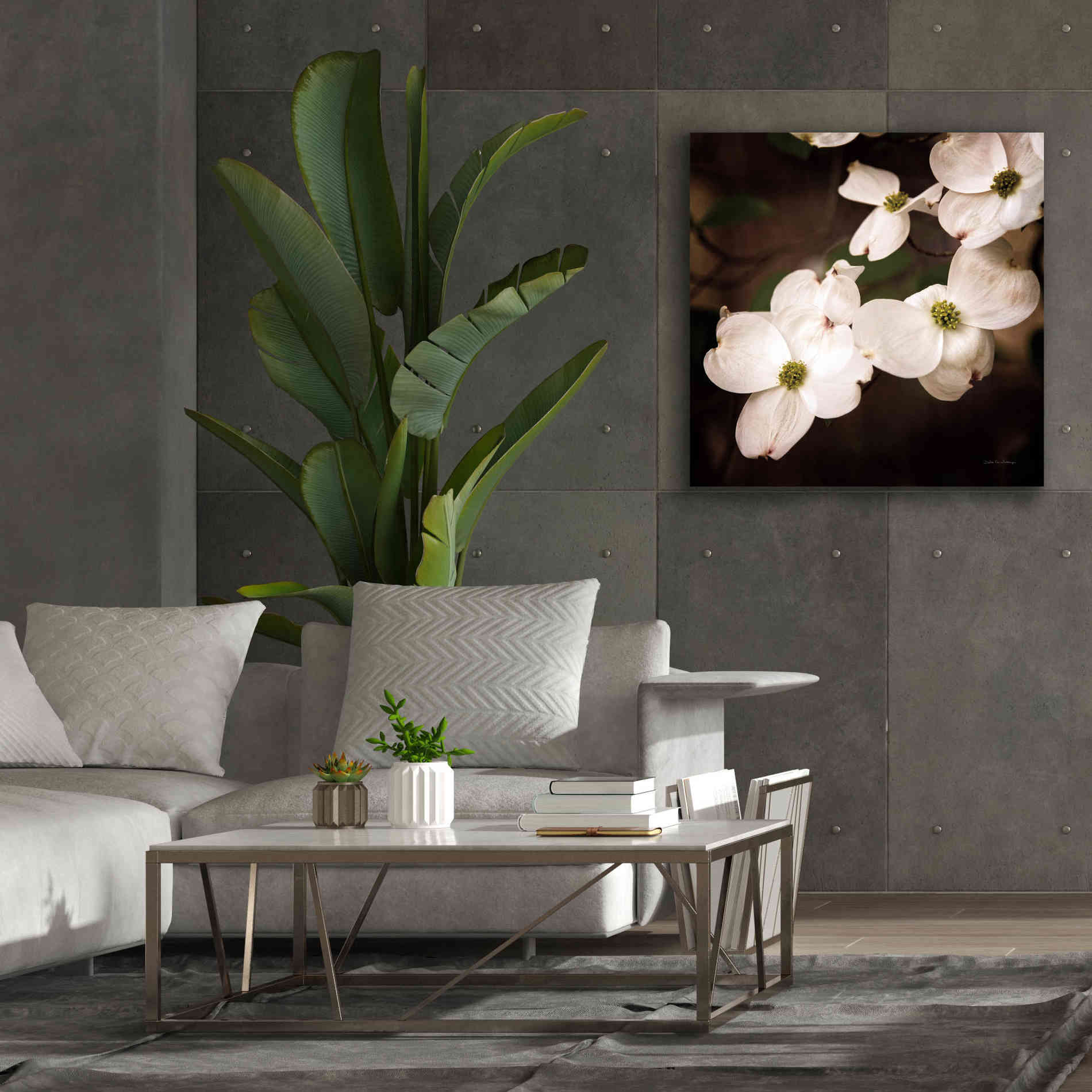 'White Dogwood III' by Debra Van Swearingen, Canvas Wall Art,37 x 37