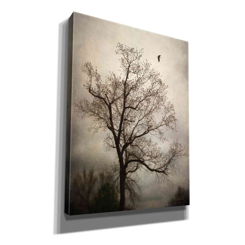 Image of 'The Flyover' by Debra Van Swearingen, Canvas Wall Art,12x16x1.1x0,20x24x1.1x0,26x30x1.74x0,40x54x1.74x0