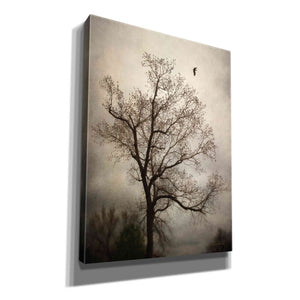 'The Flyover' by Debra Van Swearingen, Canvas Wall Art,12x16x1.1x0,20x24x1.1x0,26x30x1.74x0,40x54x1.74x0