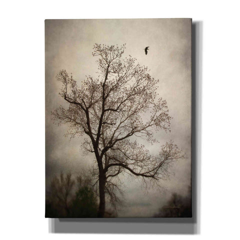 Image of 'The Flyover' by Debra Van Swearingen, Canvas Wall Art,12x16x1.1x0,20x24x1.1x0,26x30x1.74x0,40x54x1.74x0