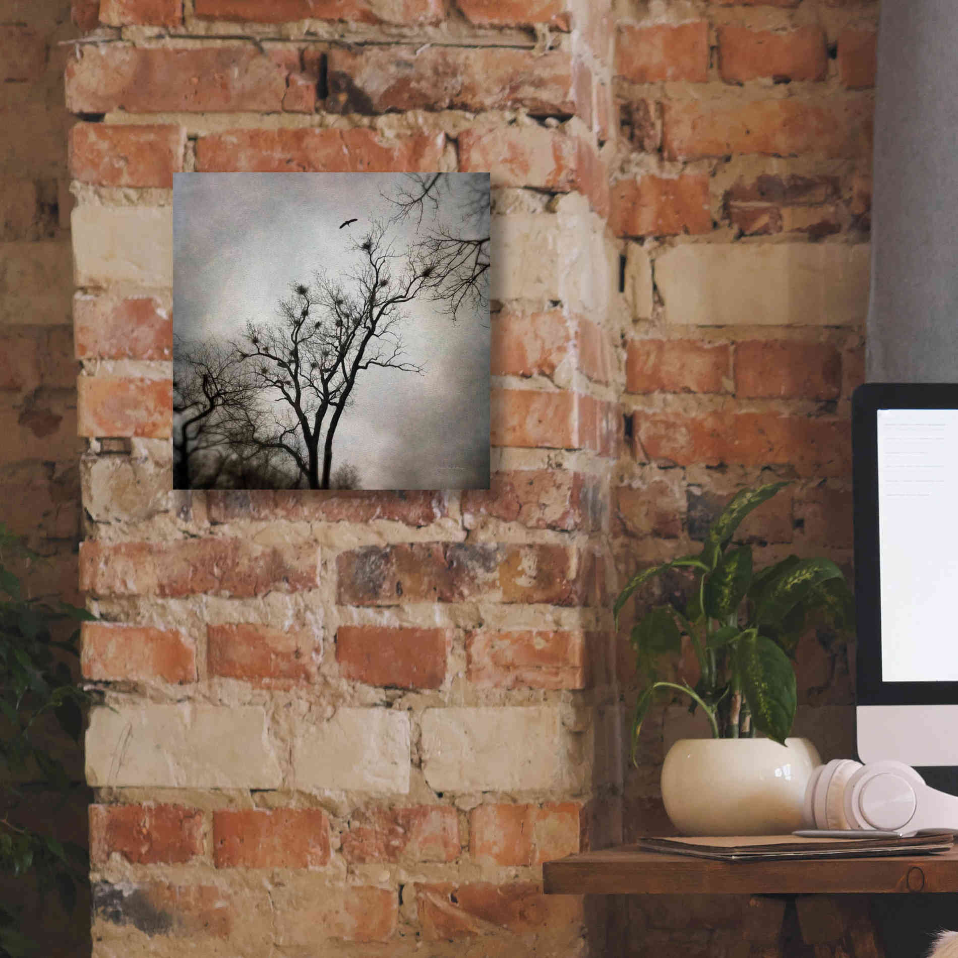 'The Heron Rookery' by Debra Van Swearingen, Canvas Wall Art,12 x 12