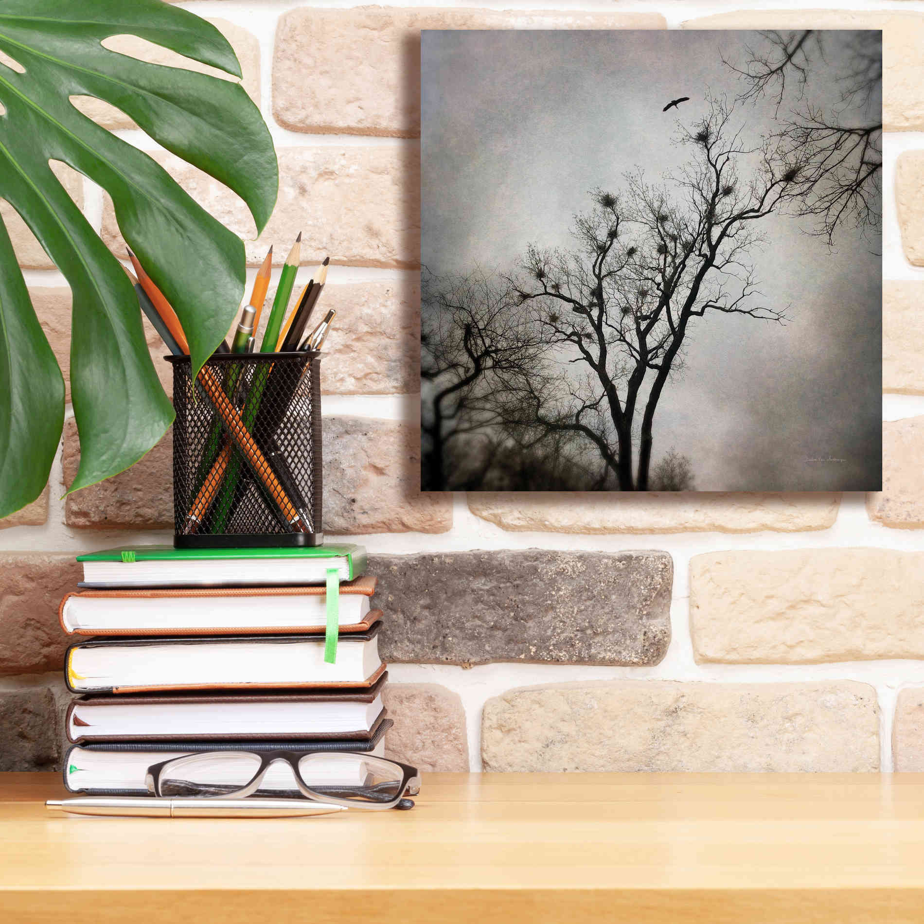 'The Heron Rookery' by Debra Van Swearingen, Canvas Wall Art,12 x 12
