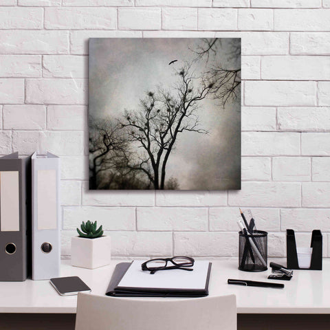 Image of 'The Heron Rookery' by Debra Van Swearingen, Canvas Wall Art,18 x 18