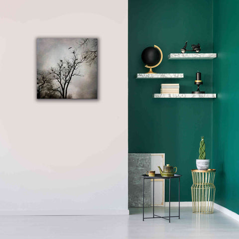 Image of 'The Heron Rookery' by Debra Van Swearingen, Canvas Wall Art,26 x 26