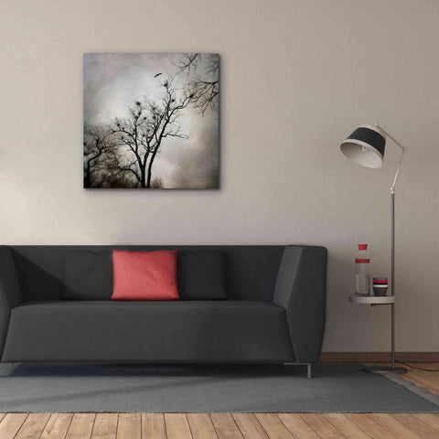 Image of 'The Heron Rookery' by Debra Van Swearingen, Canvas Wall Art,37 x 37