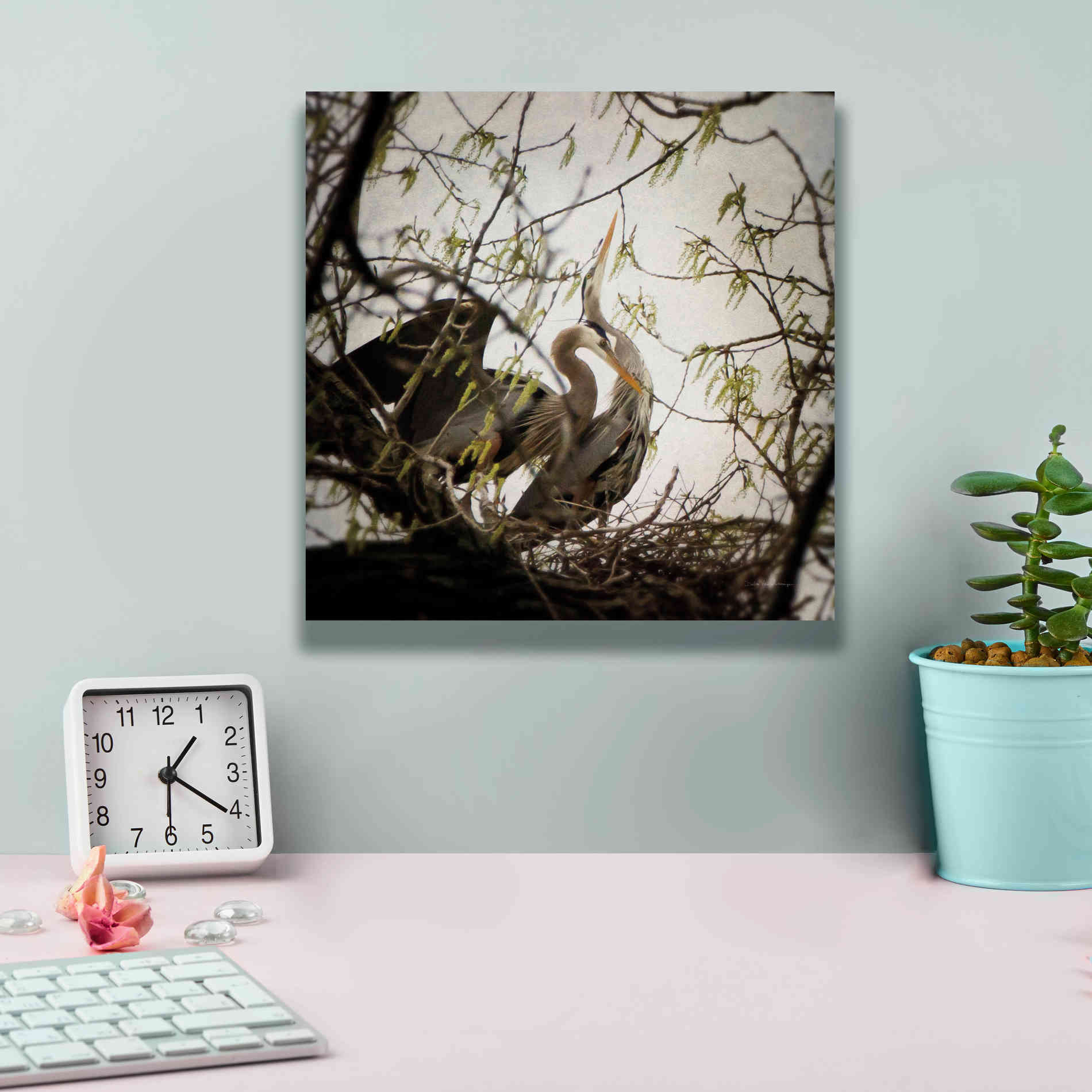 'Connection' by Debra Van Swearingen, Canvas Wall Art,12 x 12