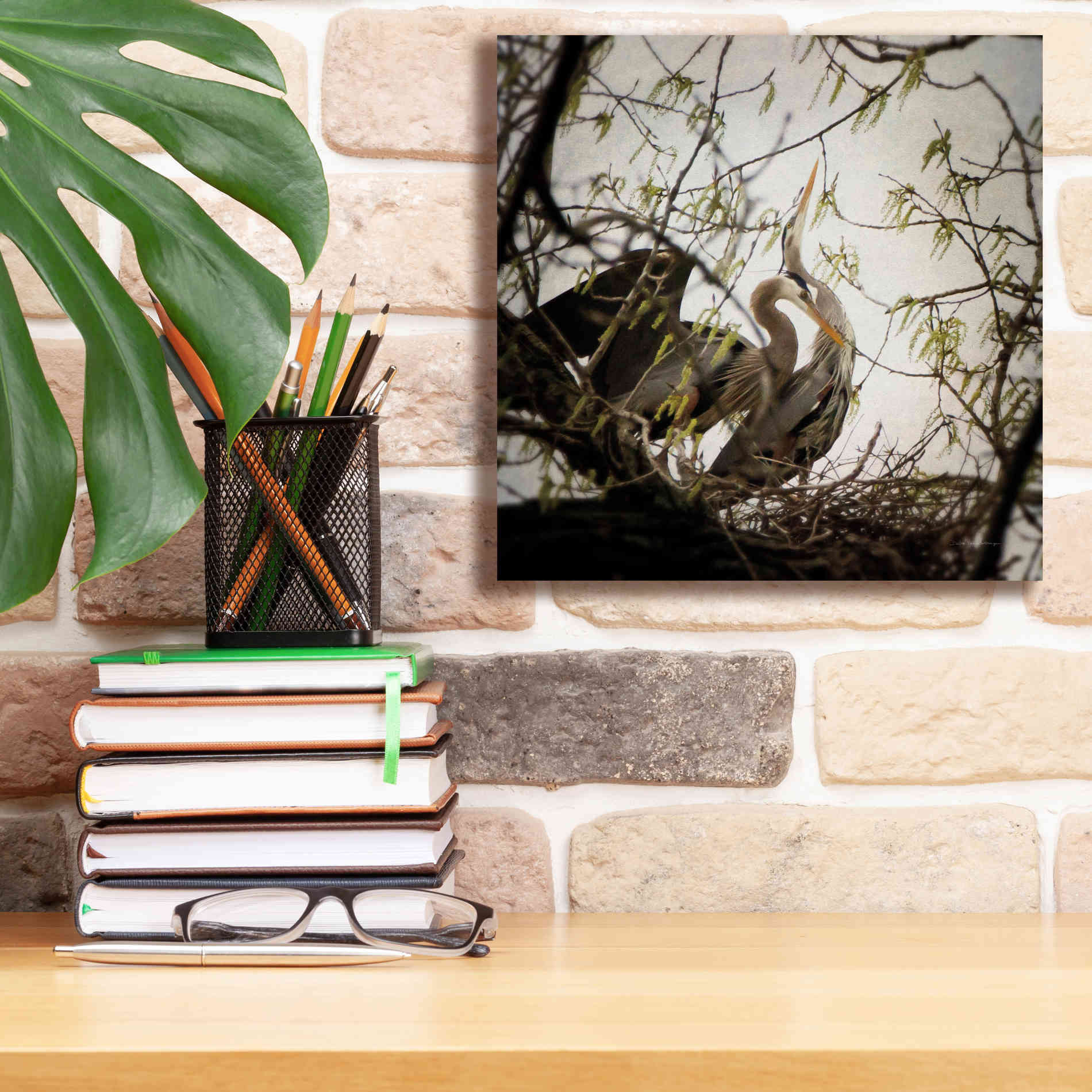 'Connection' by Debra Van Swearingen, Canvas Wall Art,12 x 12