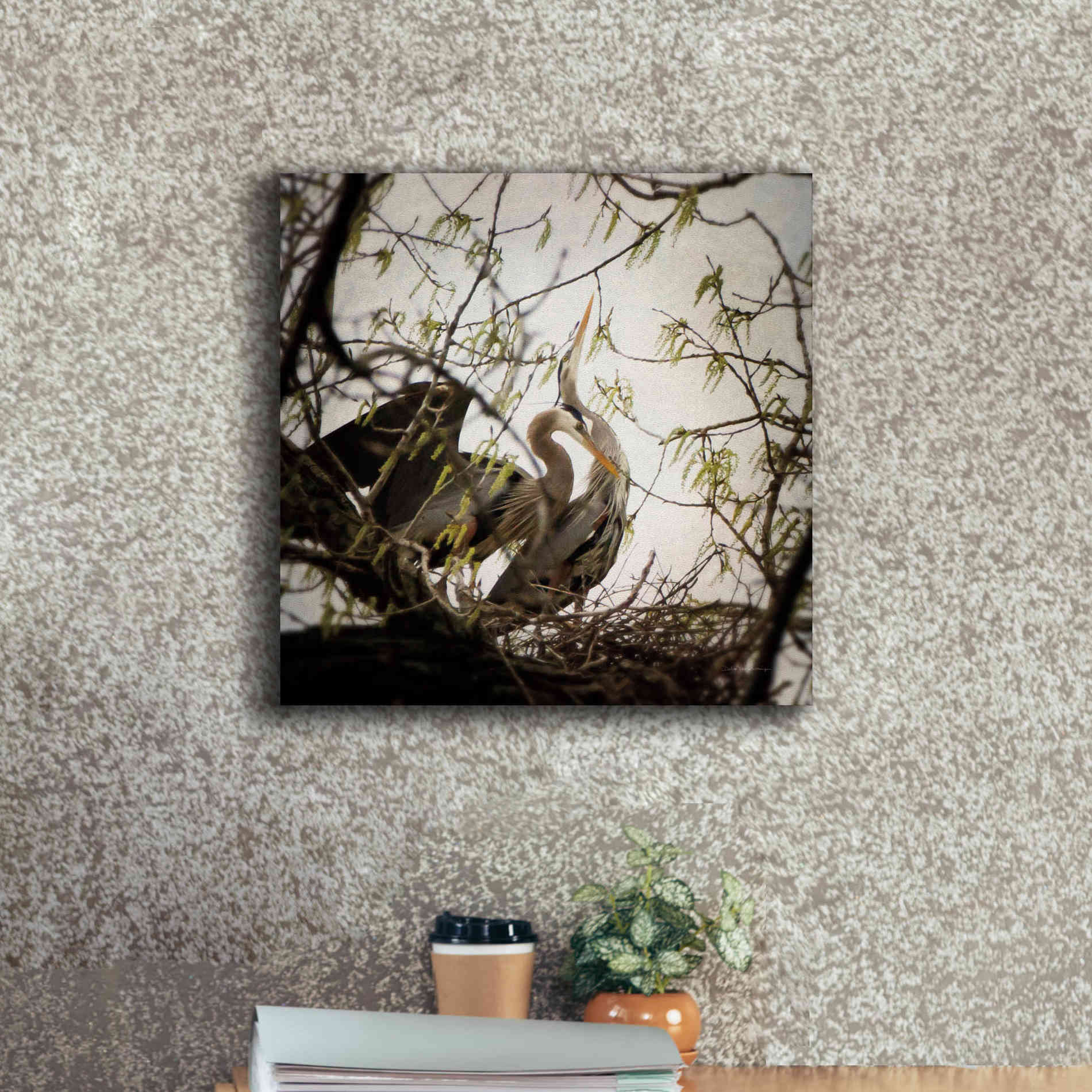 'Connection' by Debra Van Swearingen, Canvas Wall Art,18 x 18