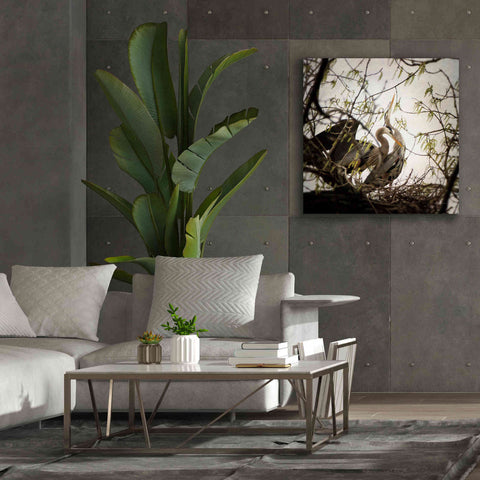 Image of 'Connection' by Debra Van Swearingen, Canvas Wall Art,37 x 37