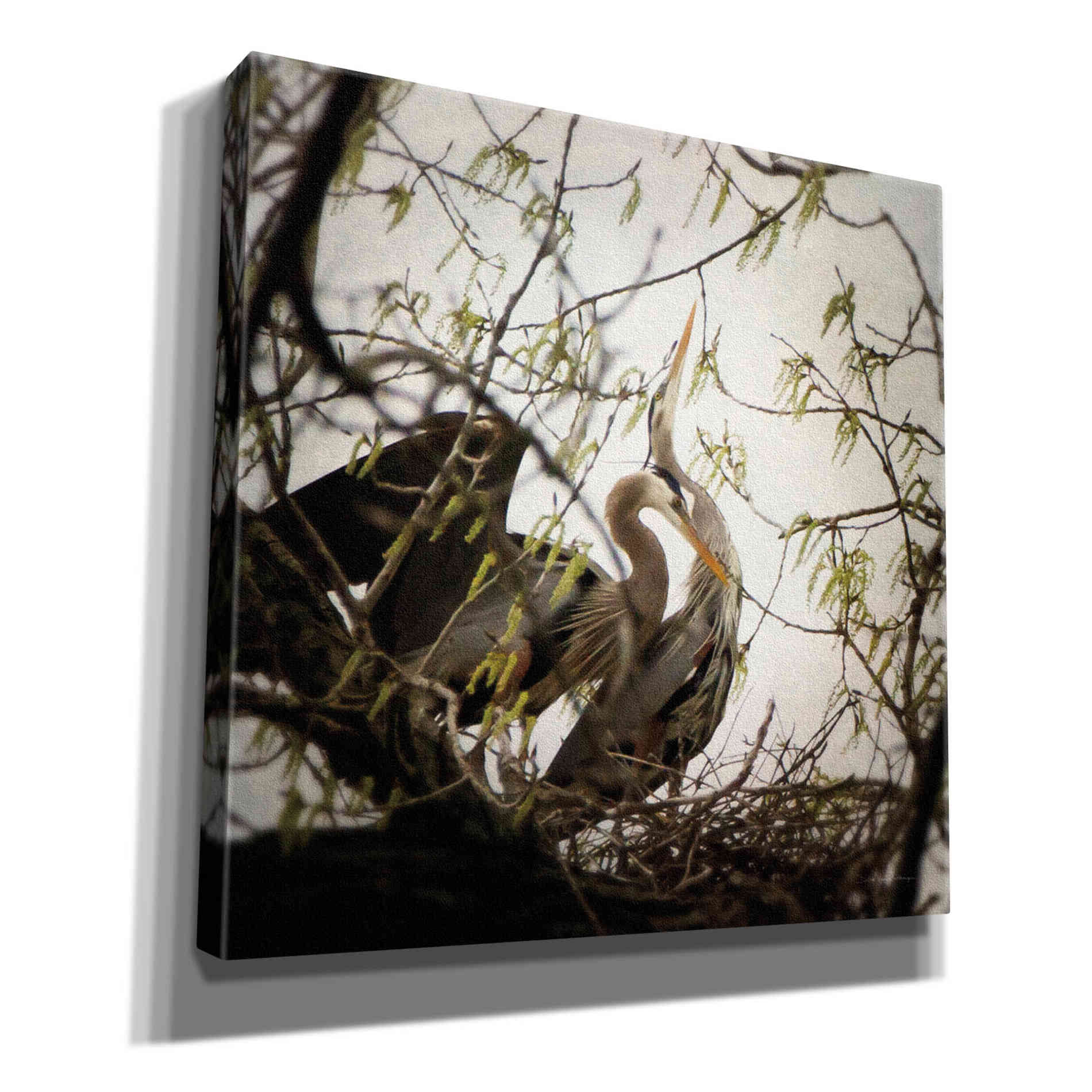 'Connection' by Debra Van Swearingen, Canvas Wall Art,12x12x1.1x0,18x18x1.1x0,26x26x1.74x0,37x37x1.74x0