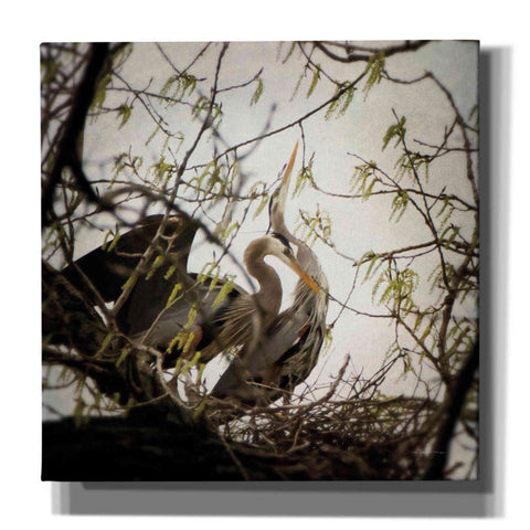 Image of 'Connection' by Debra Van Swearingen, Canvas Wall Art,12x12x1.1x0,18x18x1.1x0,26x26x1.74x0,37x37x1.74x0