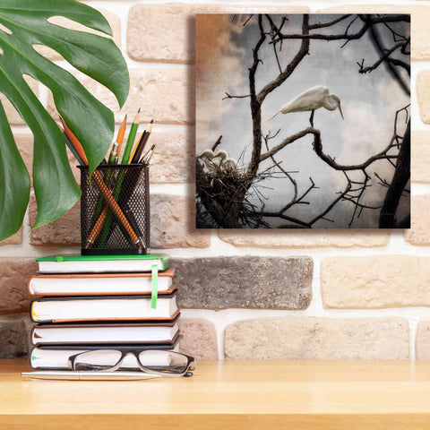 Image of 'Respite' by Debra Van Swearingen, Canvas Wall Art,12 x 12