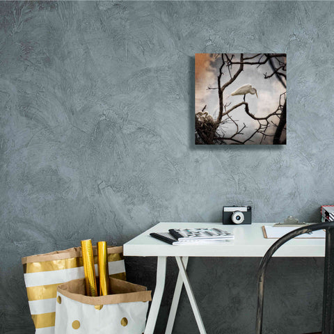 Image of 'Respite' by Debra Van Swearingen, Canvas Wall Art,12 x 12