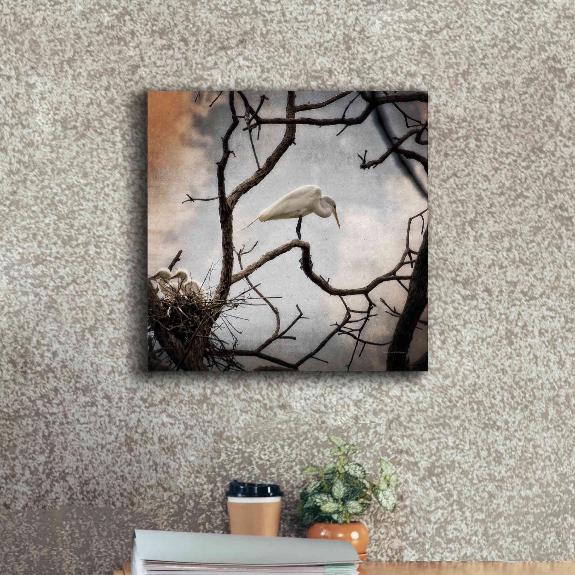 'Respite' by Debra Van Swearingen, Canvas Wall Art,18 x 18