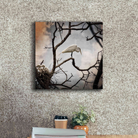 Image of 'Respite' by Debra Van Swearingen, Canvas Wall Art,18 x 18