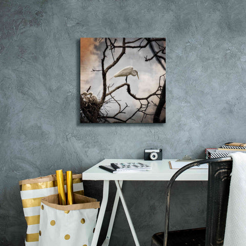 Image of 'Respite' by Debra Van Swearingen, Canvas Wall Art,18 x 18