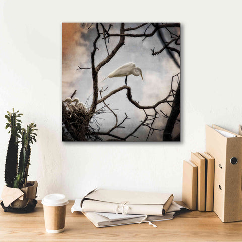 Image of 'Respite' by Debra Van Swearingen, Canvas Wall Art,18 x 18