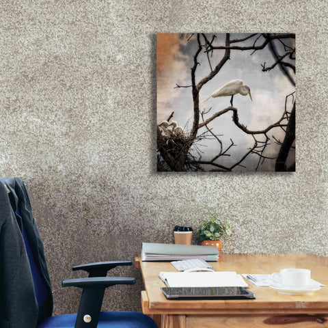 Image of 'Respite' by Debra Van Swearingen, Canvas Wall Art,26 x 26