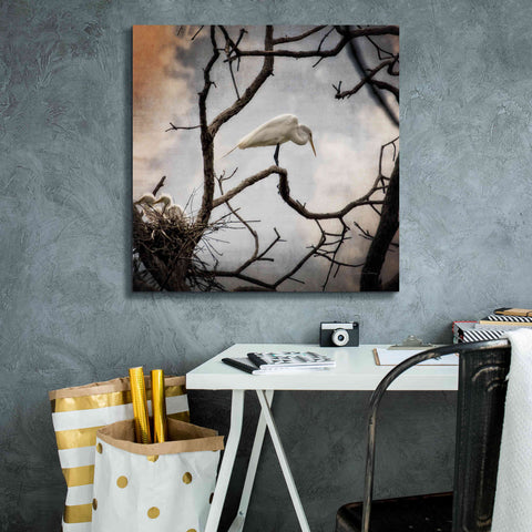 Image of 'Respite' by Debra Van Swearingen, Canvas Wall Art,26 x 26