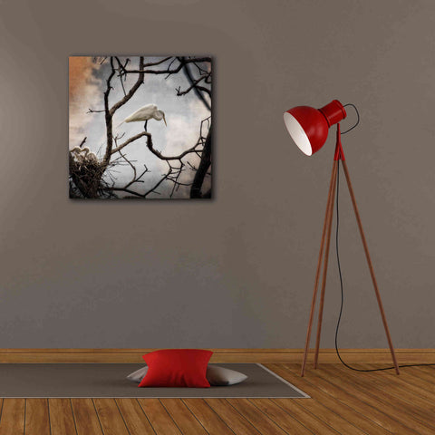 Image of 'Respite' by Debra Van Swearingen, Canvas Wall Art,26 x 26