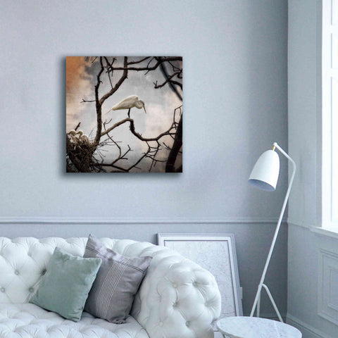 Image of 'Respite' by Debra Van Swearingen, Canvas Wall Art,37 x 37
