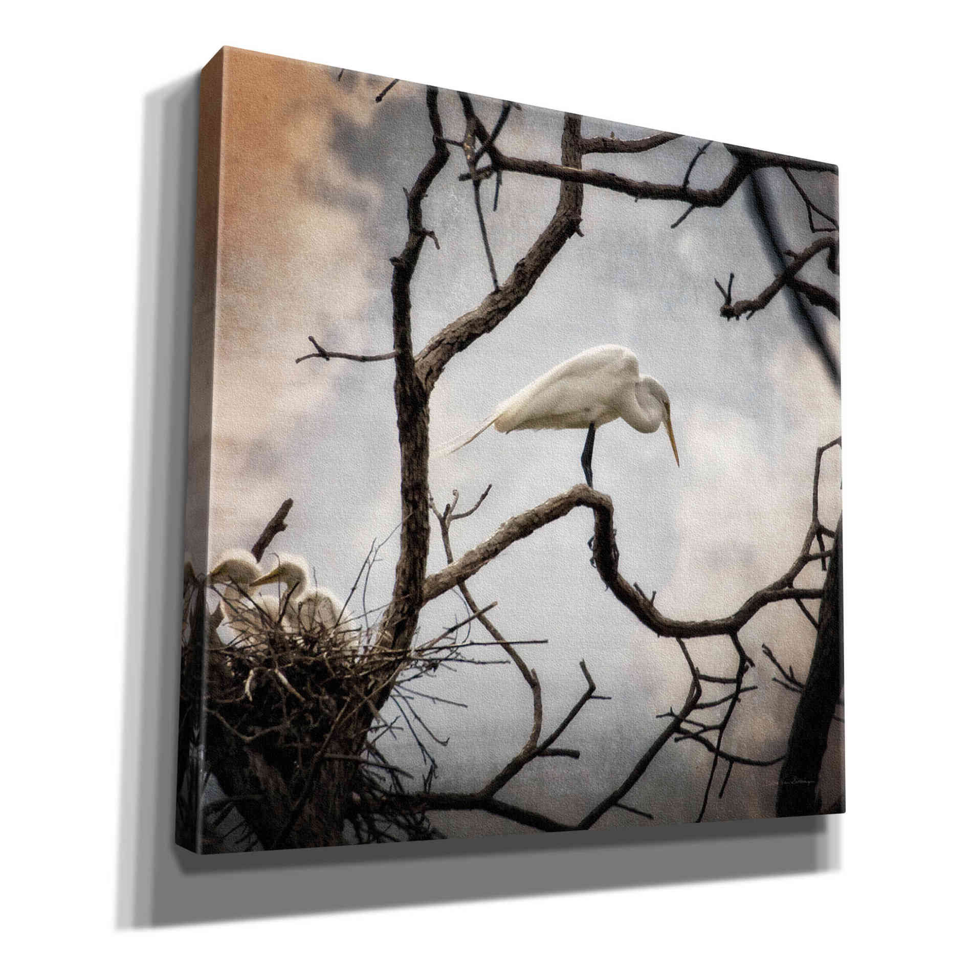 'Respite' by Debra Van Swearingen, Canvas Wall Art,12x12x1.1x0,18x18x1.1x0,26x26x1.74x0,37x37x1.74x0