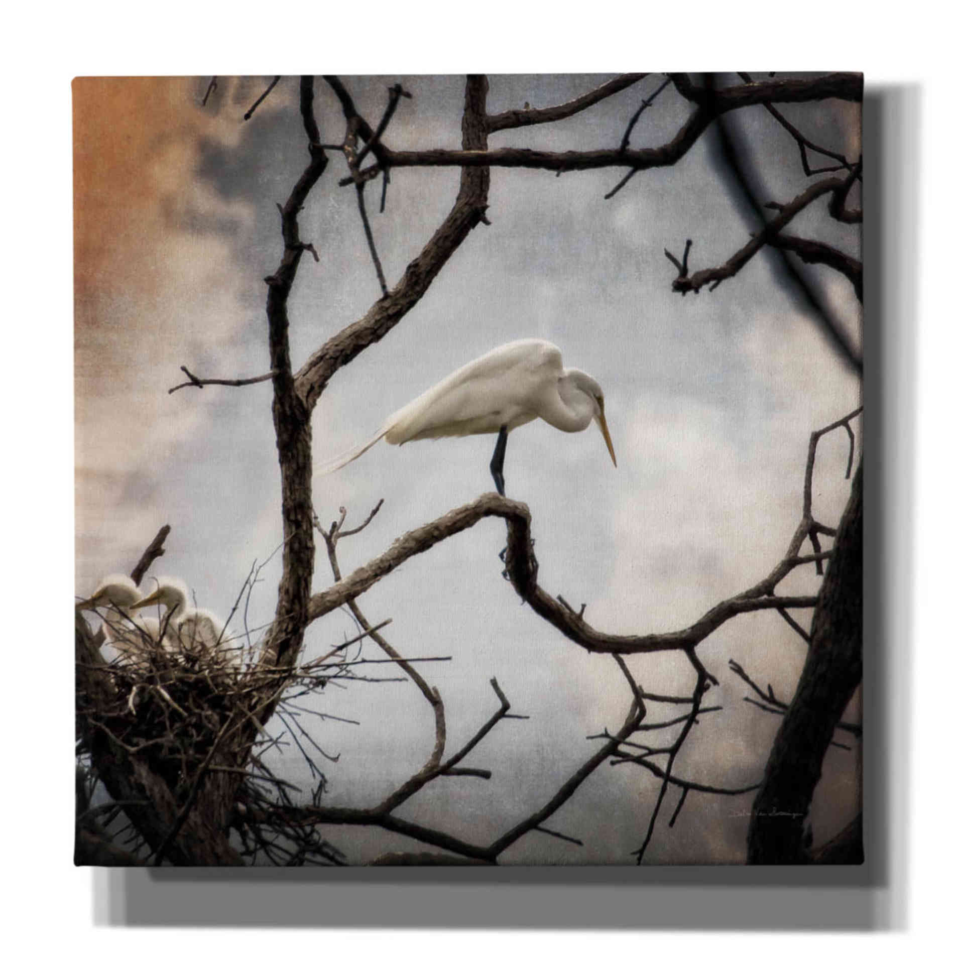 'Respite' by Debra Van Swearingen, Canvas Wall Art,12x12x1.1x0,18x18x1.1x0,26x26x1.74x0,37x37x1.74x0