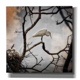'Respite' by Debra Van Swearingen, Canvas Wall Art,12x12x1.1x0,18x18x1.1x0,26x26x1.74x0,37x37x1.74x0