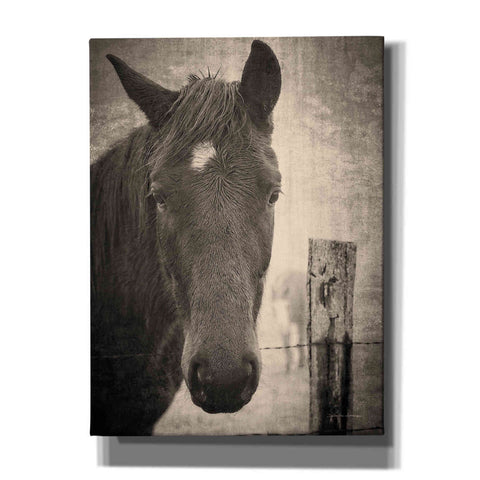 Image of 'Heres Looking at You I' by Debra Van Swearingen, Canvas Wall Art,12x16x1.1x0,18x26x1.1x0,26x34x1.74x0,40x54x1.74x0