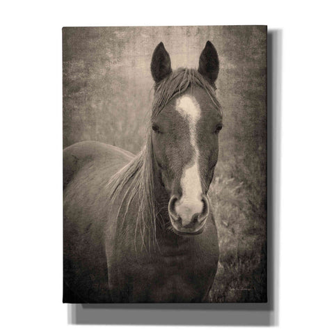 Image of 'Heres Looking at You II' by Debra Van Swearingen, Canvas Wall Art,12x16x1.1x0,18x26x1.1x0,26x34x1.74x0,40x54x1.74x0