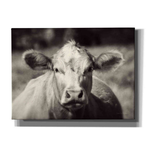 Image of 'Pasture Cow' by Debra Van Swearingen, Canvas Wall Art,16x12x1.1x0,24x20x1.1x0,30x26x1.74x0,54x40x1.74x0