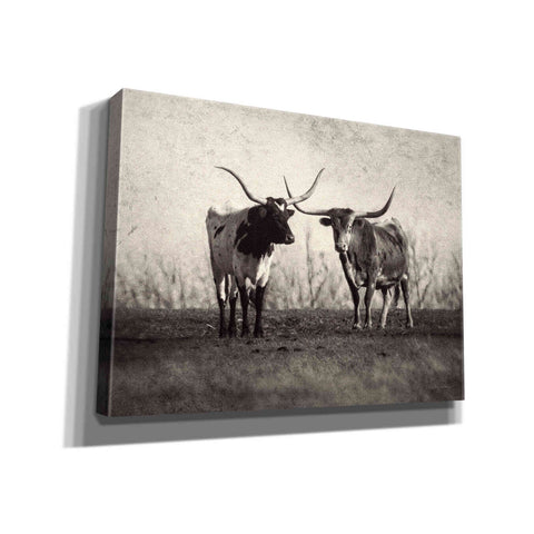 Image of 'Texas Longhorns' by Debra Van Swearingen, Canvas Wall Art,16x12x1.1x0,26x18x1.1x0,34x26x1.74x0,54x40x1.74x0