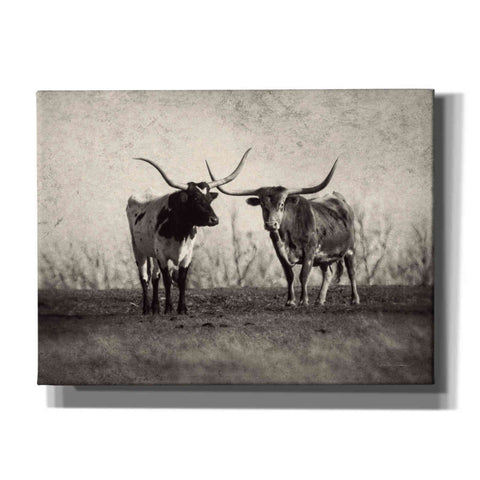 Image of 'Texas Longhorns' by Debra Van Swearingen, Canvas Wall Art,16x12x1.1x0,26x18x1.1x0,34x26x1.74x0,54x40x1.74x0
