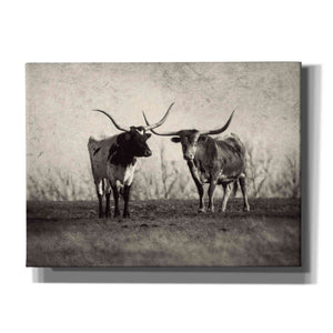 'Texas Longhorns' by Debra Van Swearingen, Canvas Wall Art,16x12x1.1x0,26x18x1.1x0,34x26x1.74x0,54x40x1.74x0