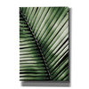 'Palm Frond I Green' by Debra Van Swearingen, Canvas Wall Art,12x18x1.1x0,18x26x1.1x0,26x40x1.74x0,40x60x1.74x0