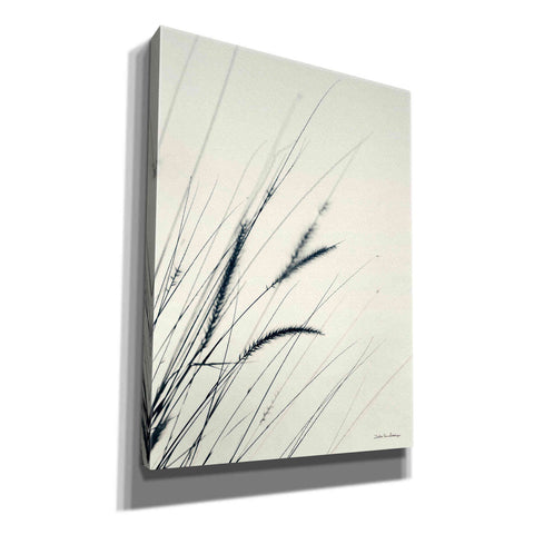 Image of 'Field Grasses I' by Debra Van Swearingen, Canvas Wall Art,12x16x1.1x0,18x26x1.1x0,26x34x1.74x0,40x54x1.74x0