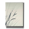 'Field Grasses I' by Debra Van Swearingen, Canvas Wall Art,12x16x1.1x0,18x26x1.1x0,26x34x1.74x0,40x54x1.74x0