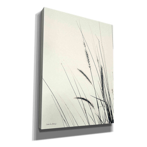 Image of 'Field Grasses II' by Debra Van Swearingen, Canvas Wall Art,12x16x1.1x0,18x26x1.1x0,26x34x1.74x0,40x54x1.74x0