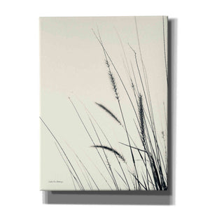 'Field Grasses II' by Debra Van Swearingen, Canvas Wall Art,12x16x1.1x0,18x26x1.1x0,26x34x1.74x0,40x54x1.74x0
