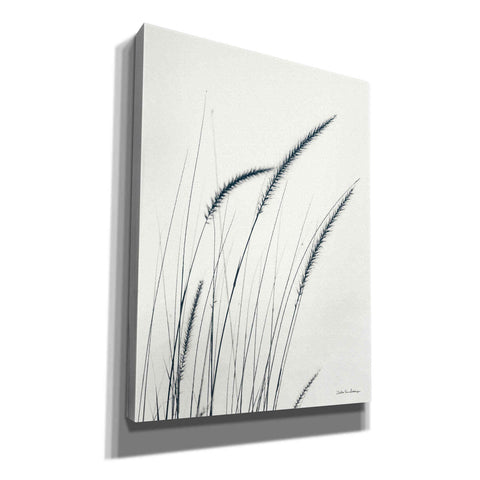 Image of 'Field Grasses III' by Debra Van Swearingen, Canvas Wall Art,12x16x1.1x0,18x26x1.1x0,26x34x1.74x0,40x54x1.74x0