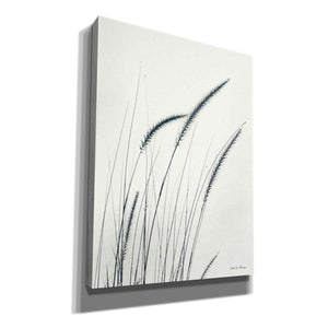 'Field Grasses III' by Debra Van Swearingen, Canvas Wall Art,12x16x1.1x0,18x26x1.1x0,26x34x1.74x0,40x54x1.74x0